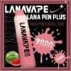 lana pen9000口西瓜